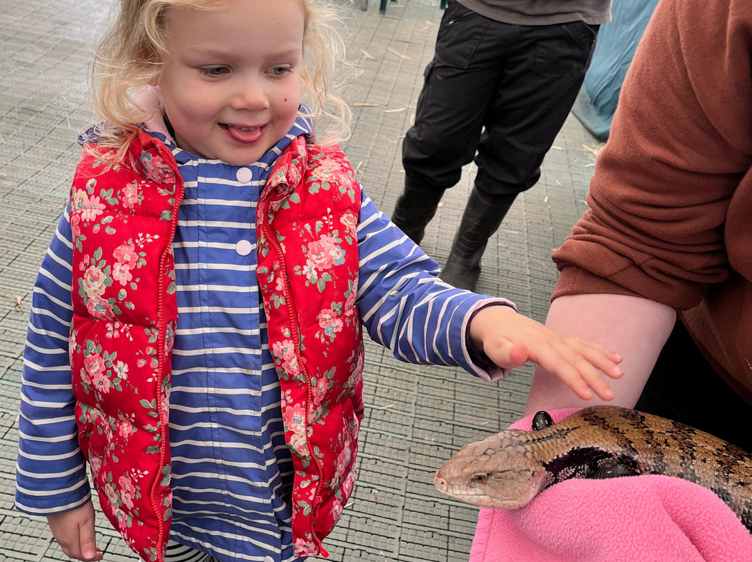 Holmes Chapel Zoo-Holmes Chapel必去景点