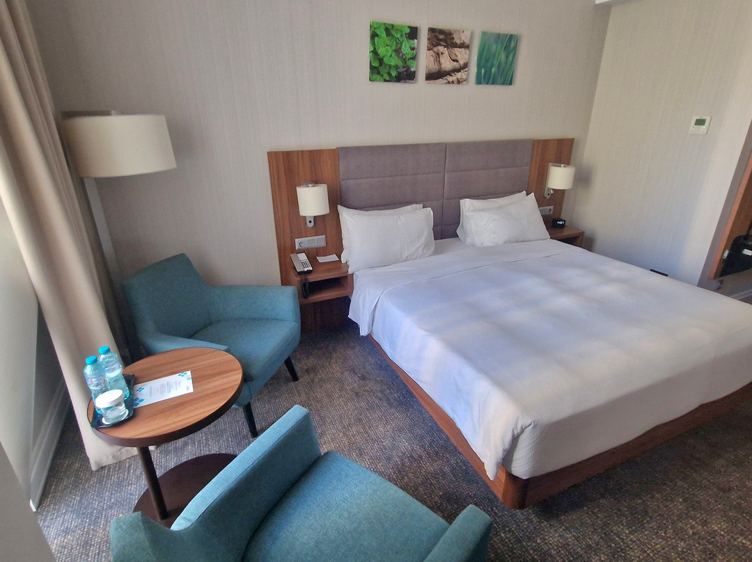 Hilton Garden Inn Bucharest Old Town主图