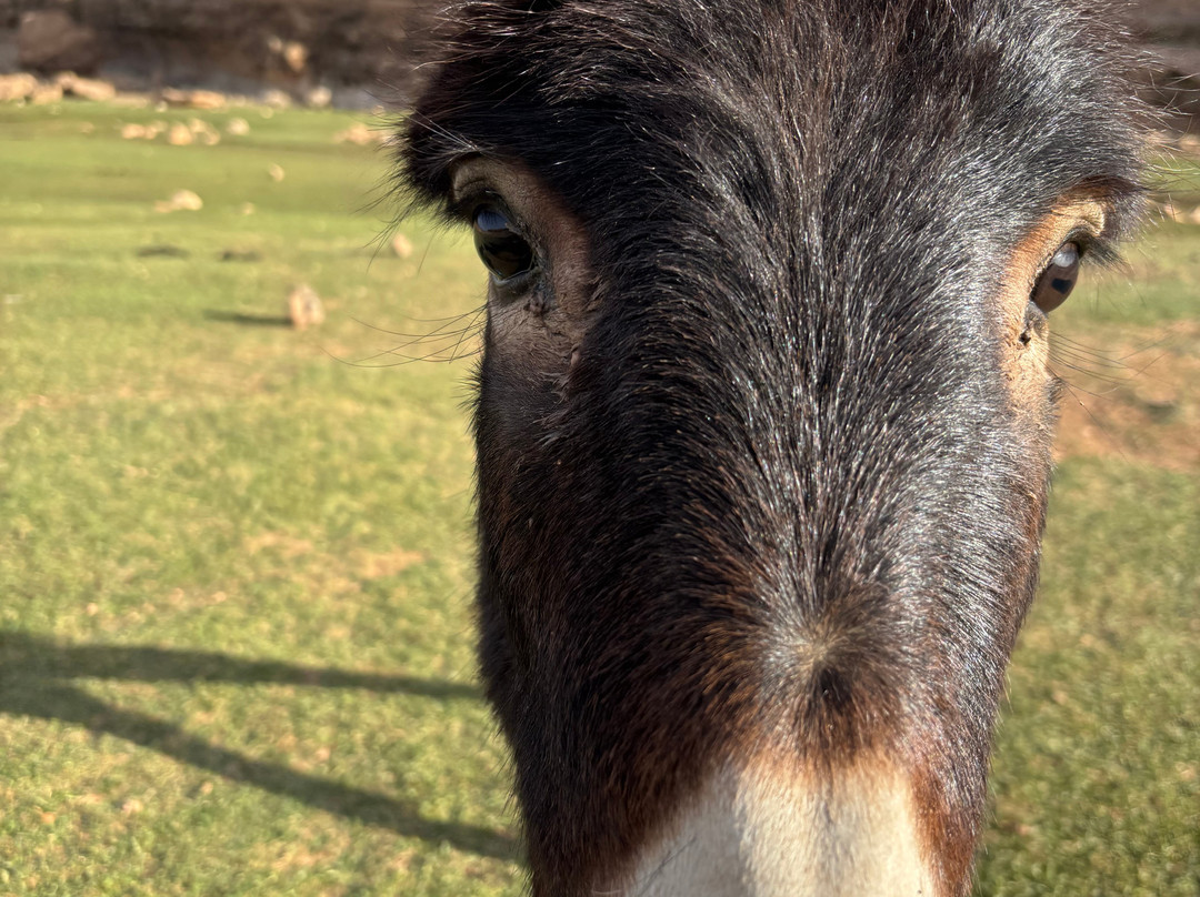 Mountain Desert Tours-马拉喀什必去景点