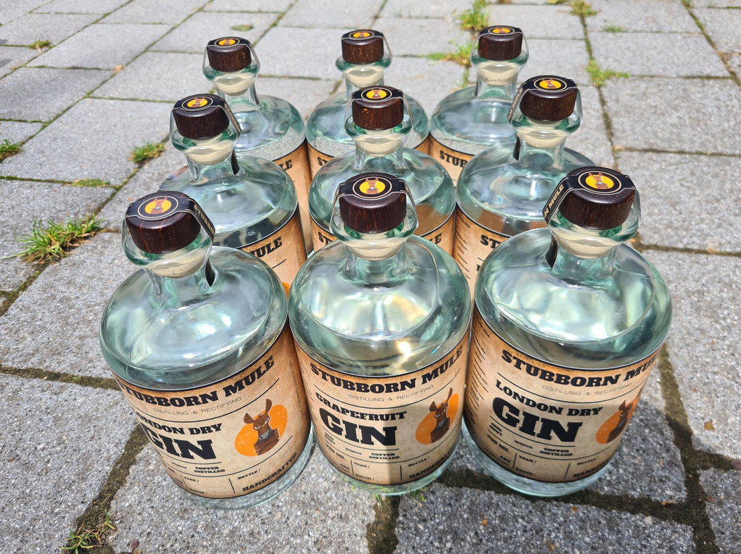 Stubborn Mule Brewery-奥特林厄姆必去景点