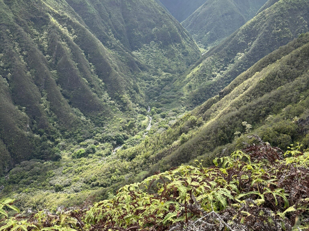Waiheʻe Ridge Trail-Waihee必去景点