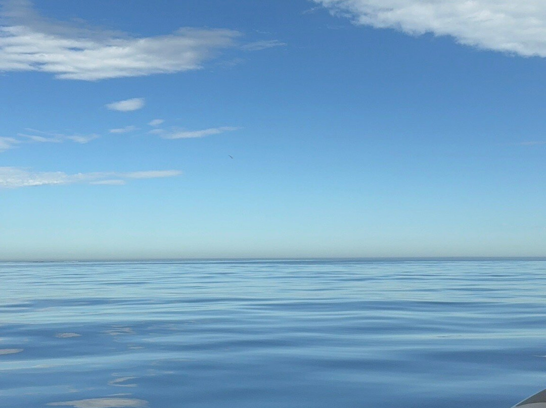 Yzerfontein Sea Sport-Yzerfontein必去景点