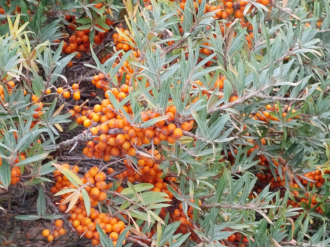 Rando Baie de Somme-Favieres必去景点
