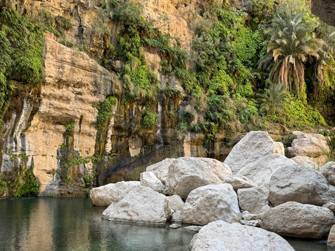 Wadi Tiwi-提维必去景点