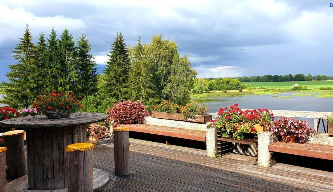 Ilmatsalu Motell主图