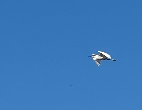 Daisey's Island Cruises-钦科蒂格岛必去景点