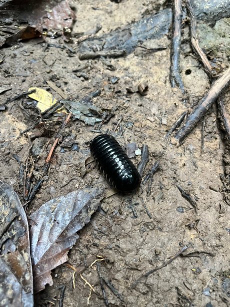 Pondok Wisata Guesthouse-官方