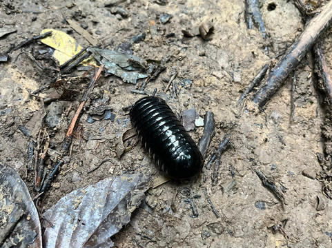 Pondok Wisata Guesthouse主图