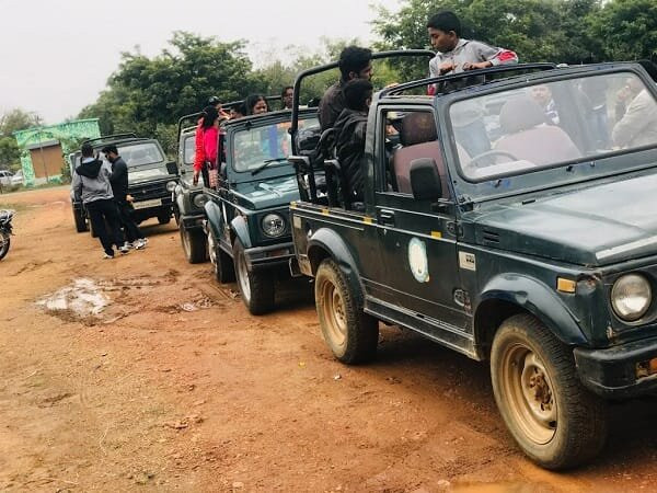 Umred Karhandla Wildlife Sanctuary-那格浦尔必去景点