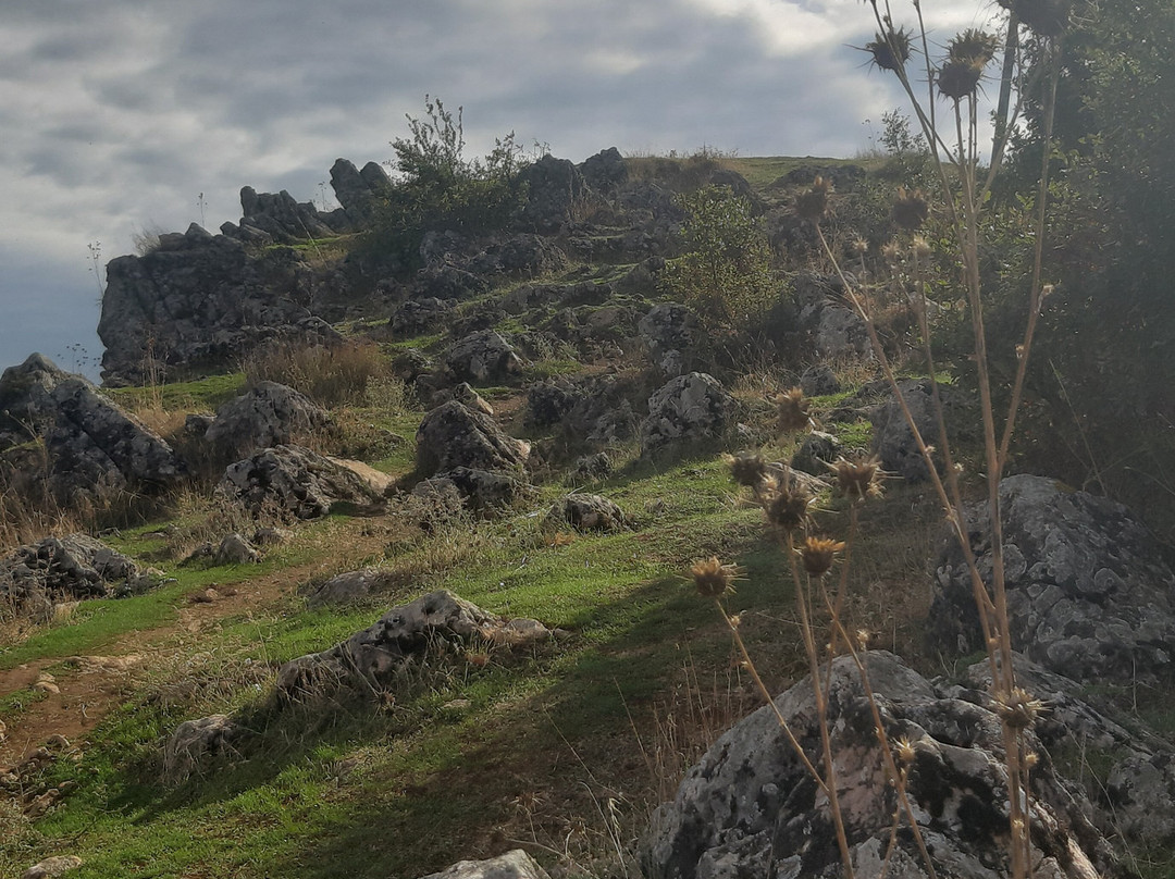 Lihnid Tours-Pogradec必去景点