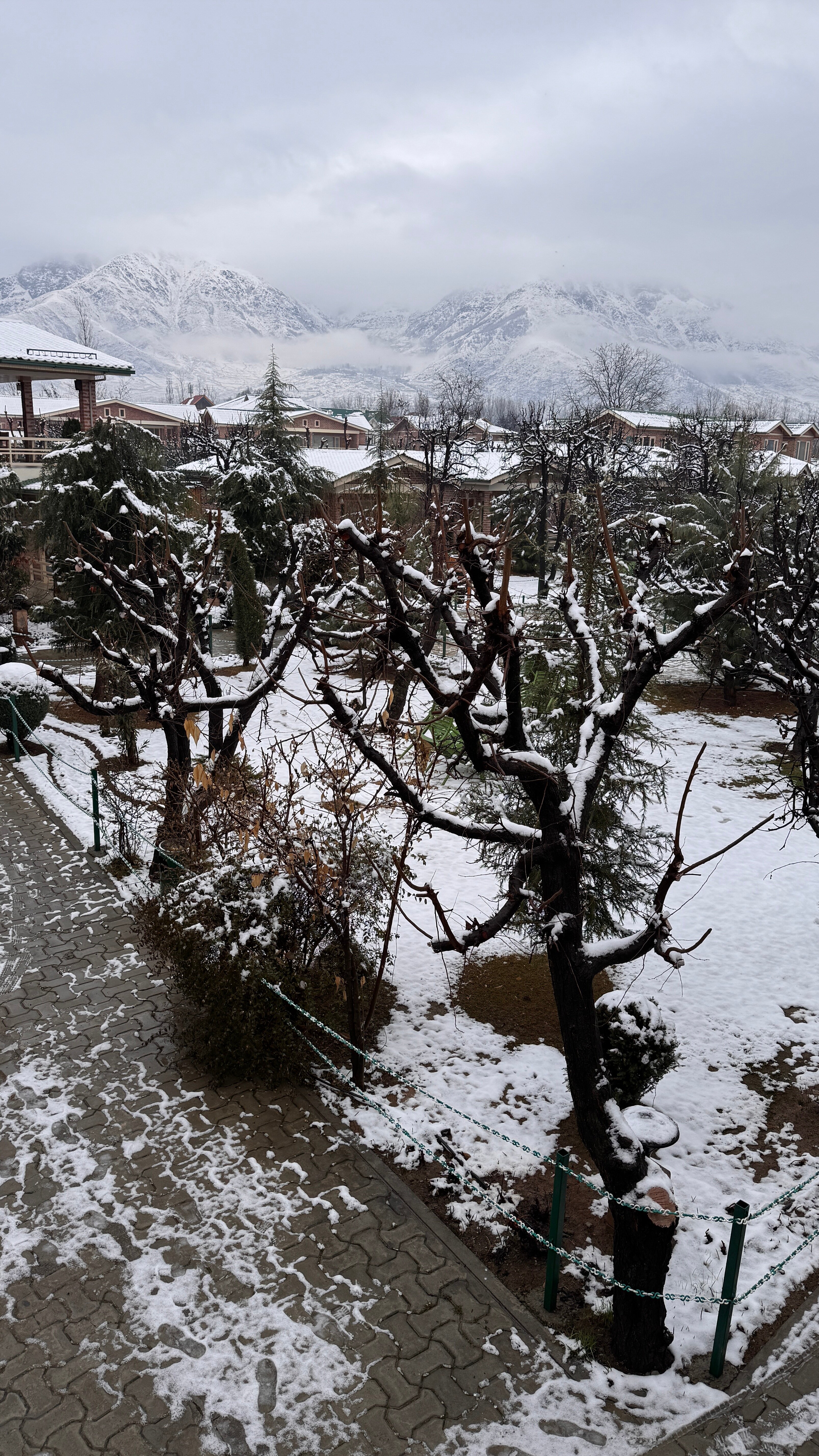 The Orchard Retreat & Spa-酒店景观