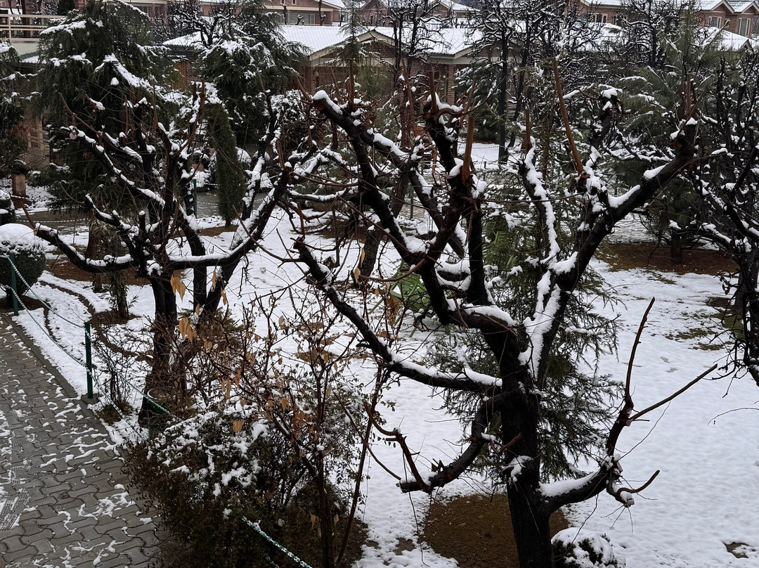 The Orchard Retreat & Spa主图