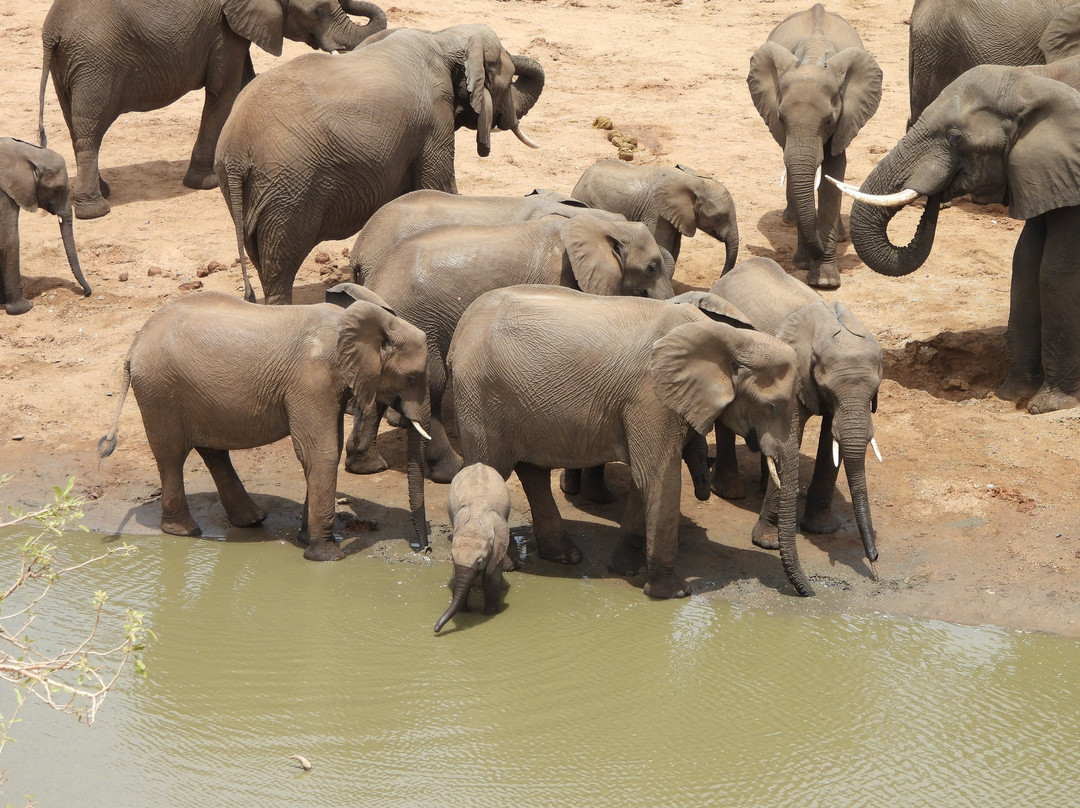 Khalanga Safaris-伐拉博瓦必去景点