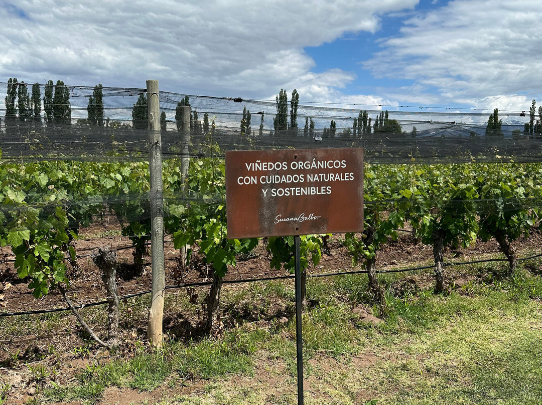 Mendoza Journeys-门多萨必去景点