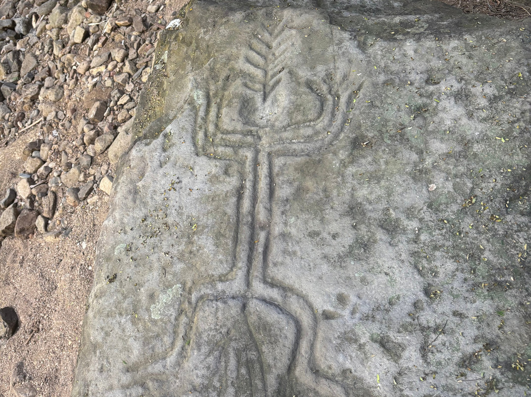 Mystic Embrace-Chacala必去景点