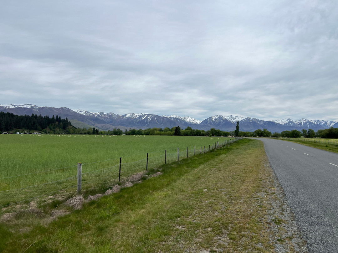Cycle Journeys Twizel-特威泽尔必去景点
