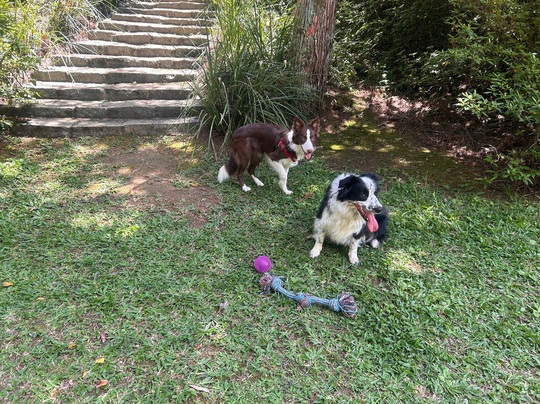 Pousada Acalanto主图