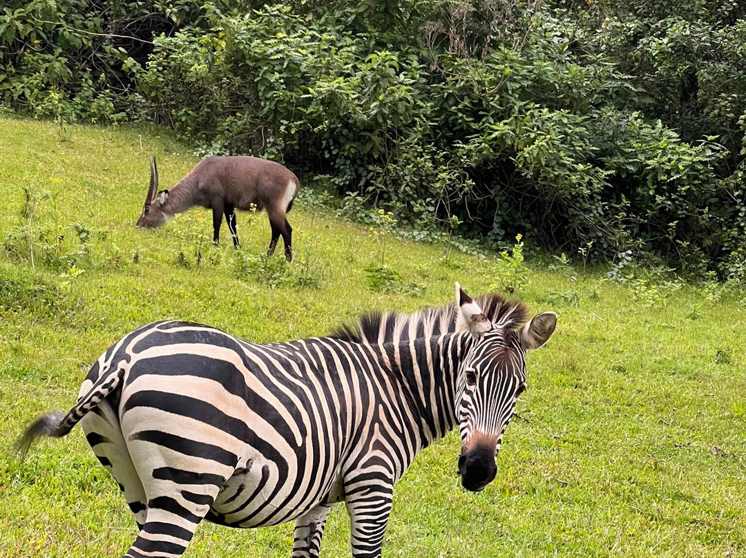 Lake Bunyonyi Eco Resort主图