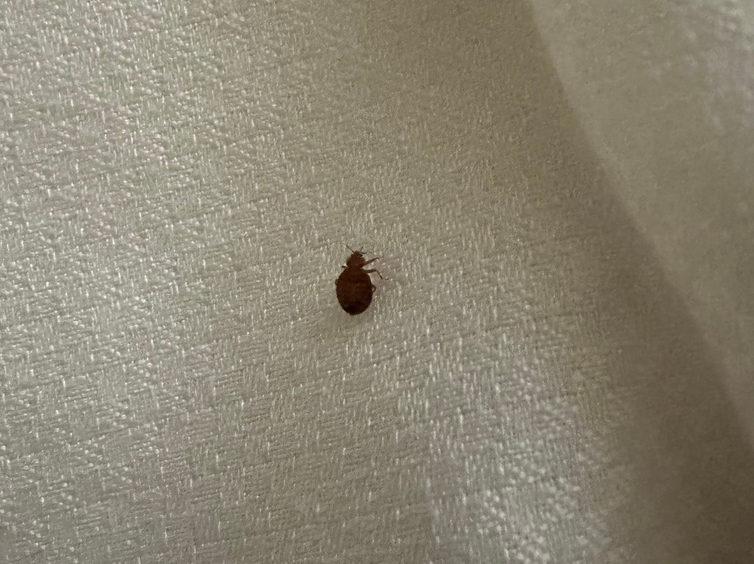 Comfort Suites Brunswick主图