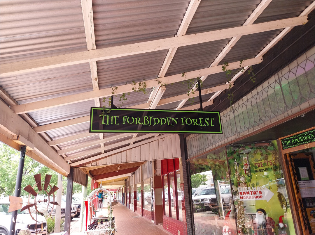 The Forbidden Forest