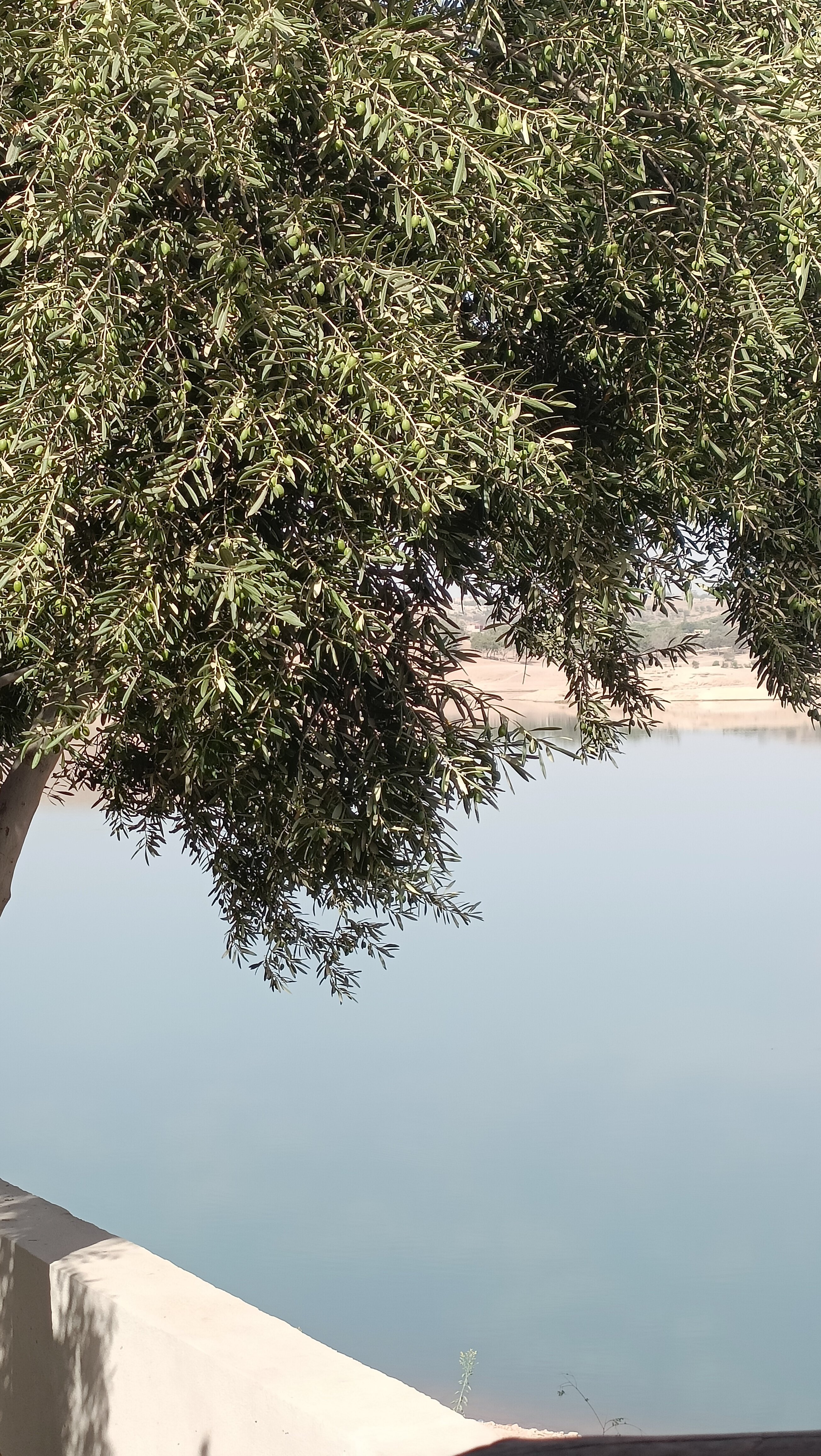 Dar Tifrouine-官方