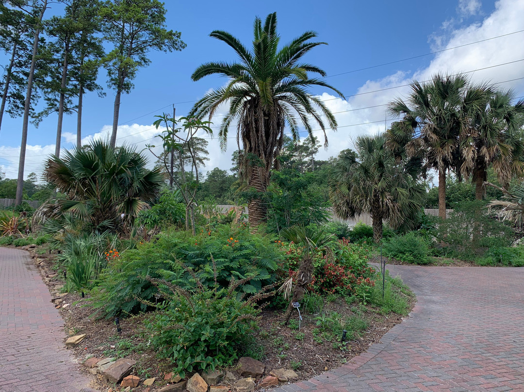 Mercer Botanic Gardens-汉布尔必去景点