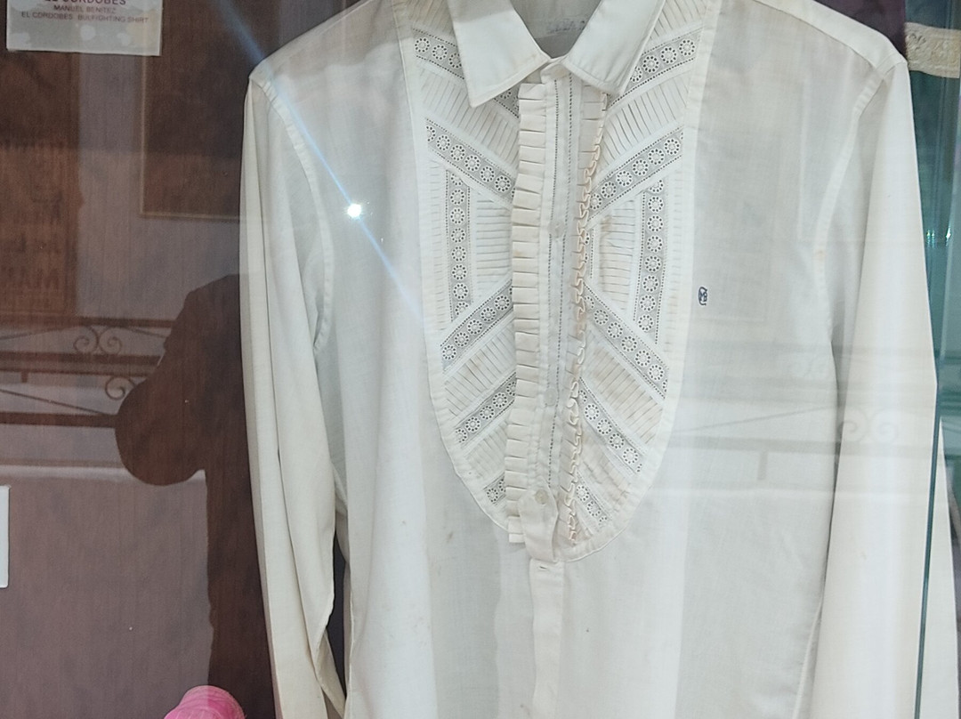 Palaeontology Museum of Estepona-埃斯特波纳必去景点