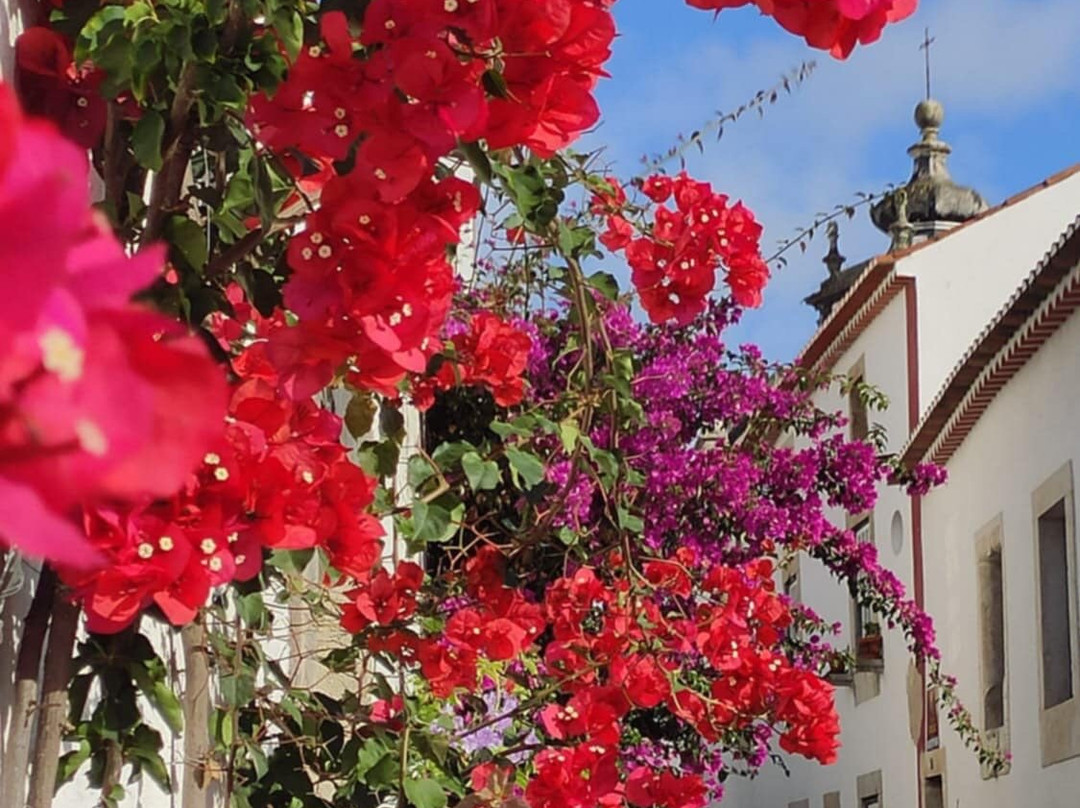 Rua Direita-奥比都斯必去景点