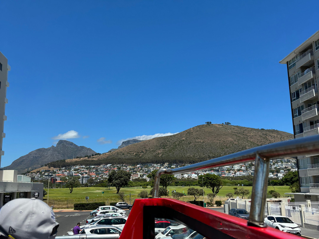 绿点公园及生物多样性花园-开普敦中心区必去景点