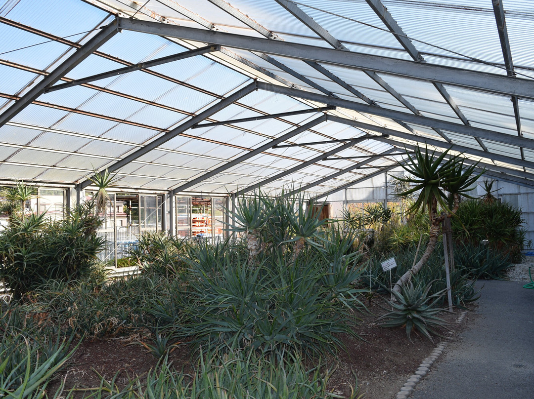 Minamiizu Aloe Center-南伊豆町必去景点
