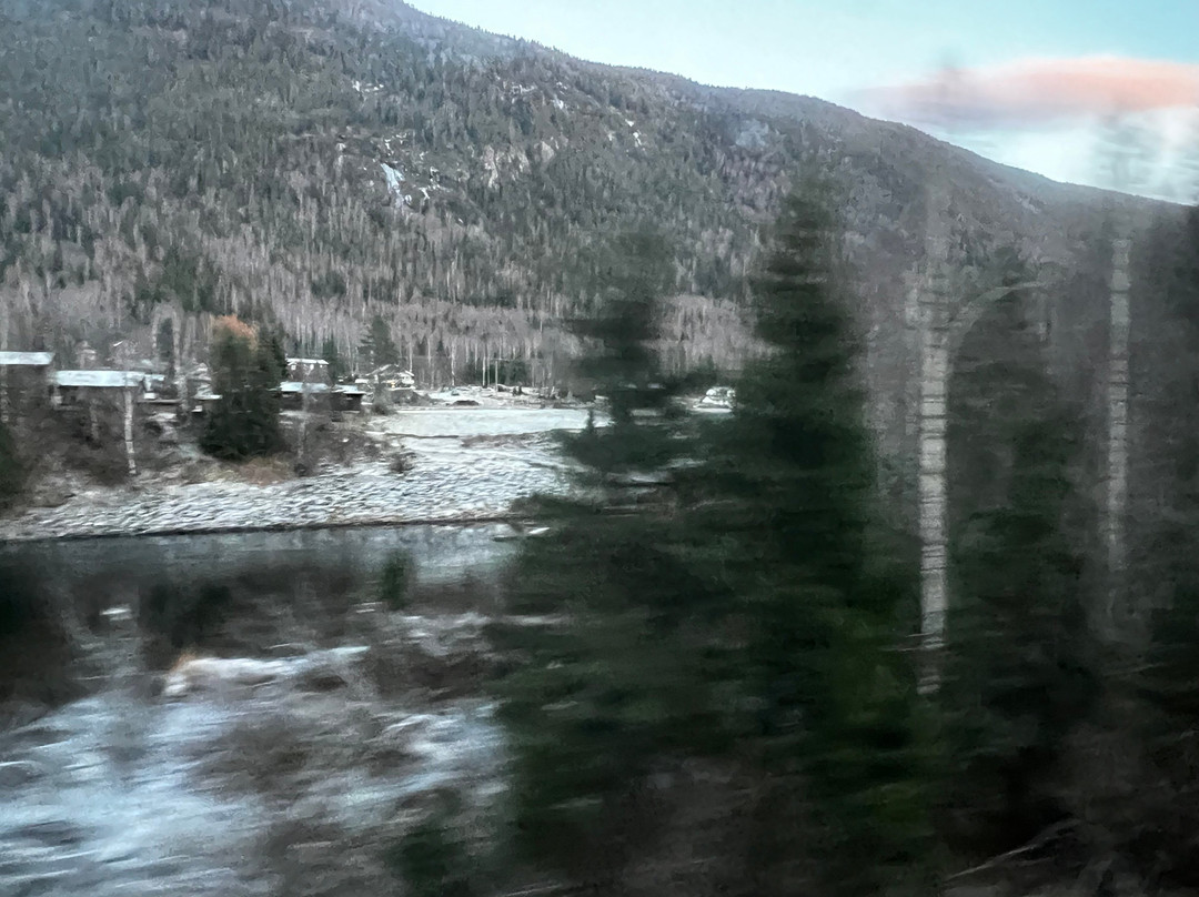 Bergen to Oslo Train Ride-卑尔根必去景点