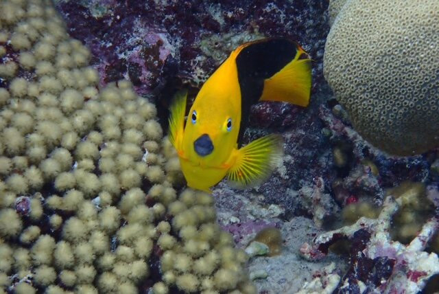 Fins & Feet Nature Tours-阿鲁巴岛必去景点