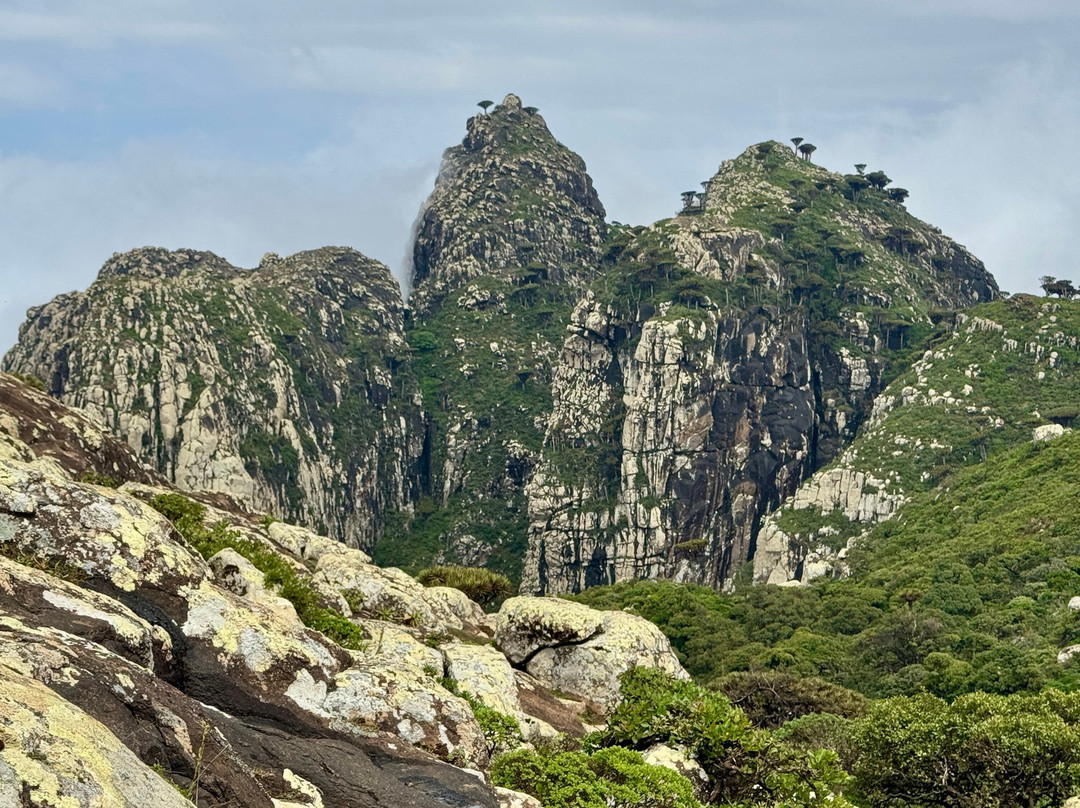 Embrace Socotra-Hadiboh必去景点