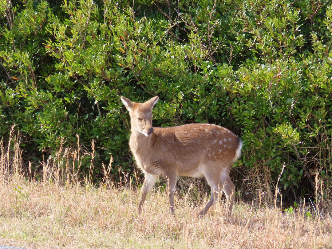 Assateague State Park-Berlin必去景点