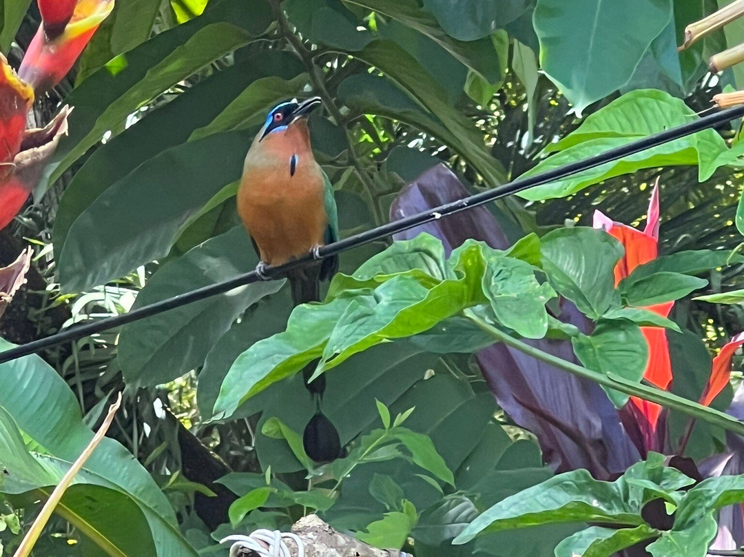 Adventure Farm and Nature Reserve-多巴哥必去景点