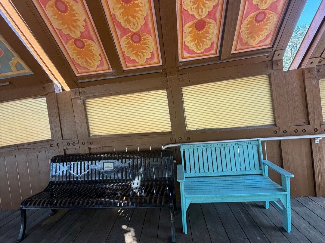 Lowry Park-坦帕必去景点