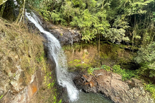 Flor do Vale - Alambique e Parque Ecologico-卡内拉必去景点