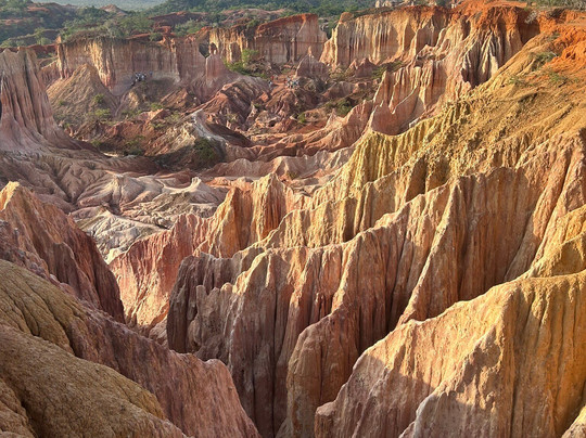 Kelvin Safari-瓦塔木必去景点