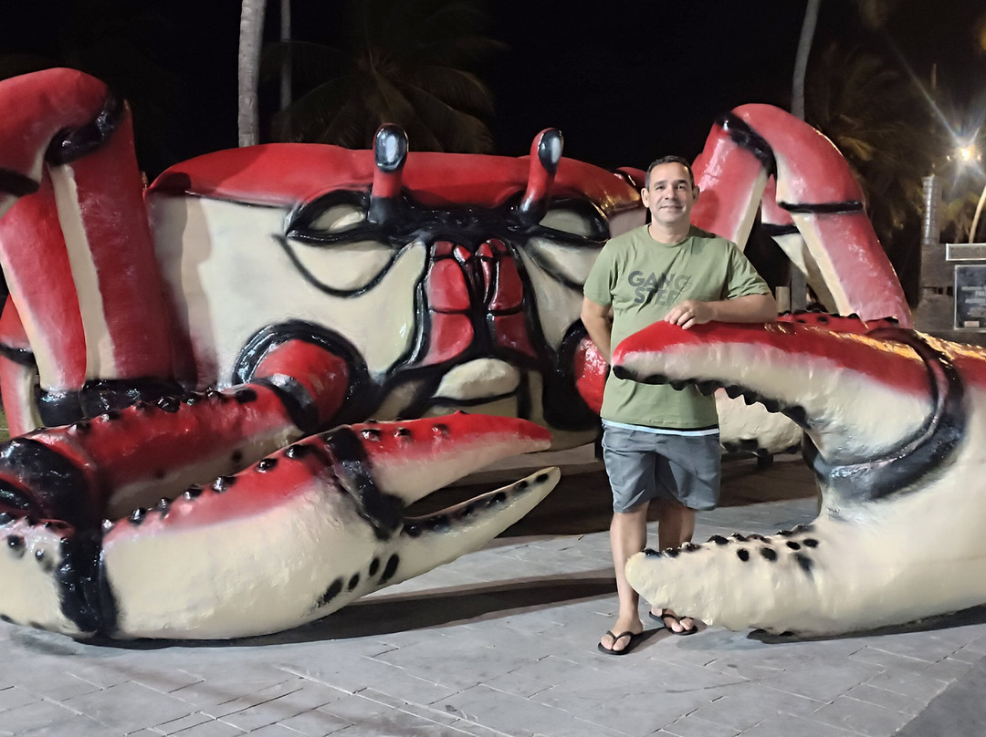 Passarela do Caranguejo-阿拉卡茹必去景点