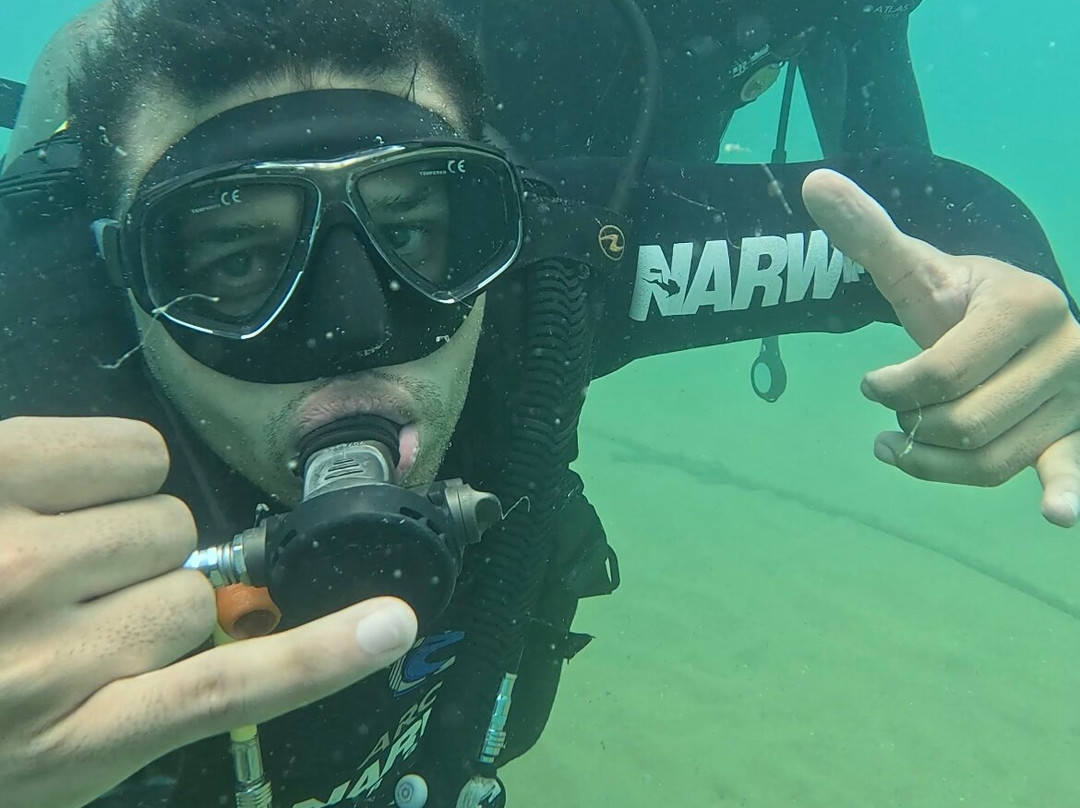 Narwhal-伊利亚贝拉必去景点