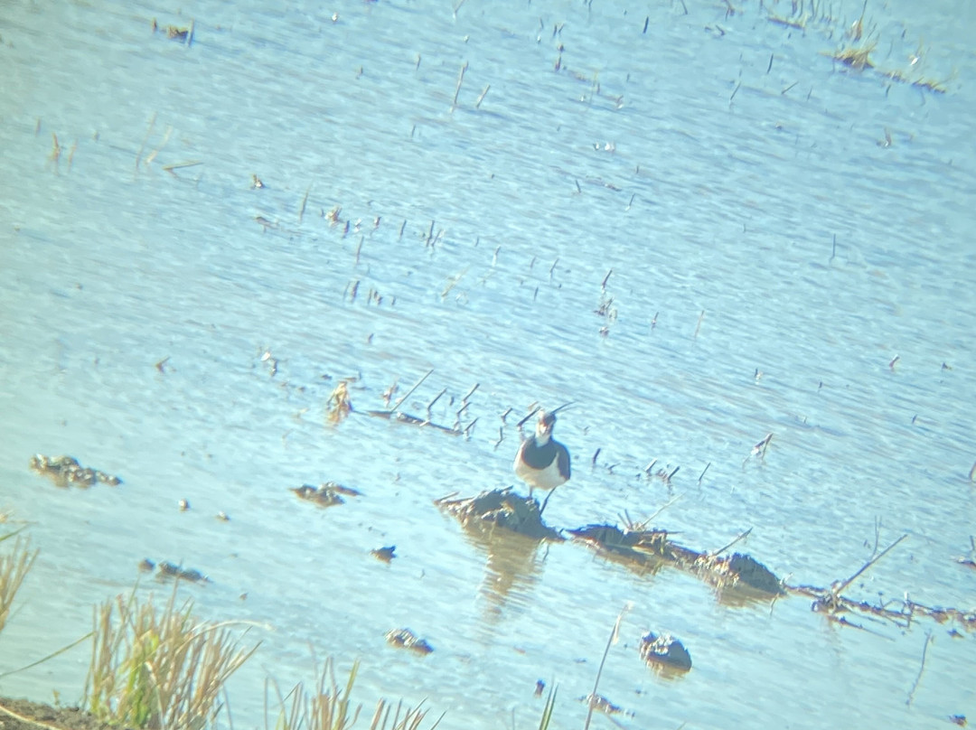 Birding The Strait-塔里法必去景点