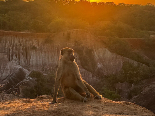 Scopriamo il Kenya con Nelson-瓦塔木必去景点