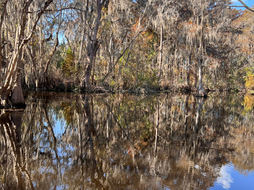 Swamp Fever Airboat Adventures-Lake Panasoffkee必去景点