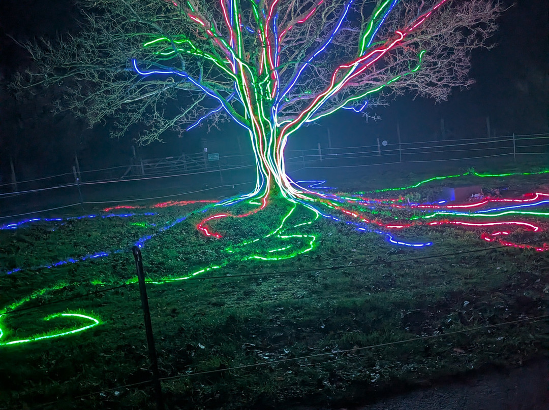 Marwell Zoo-温彻斯特必去景点