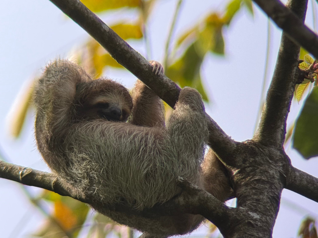 Ale Tours Costa Rica-Santa Barbara必去景点