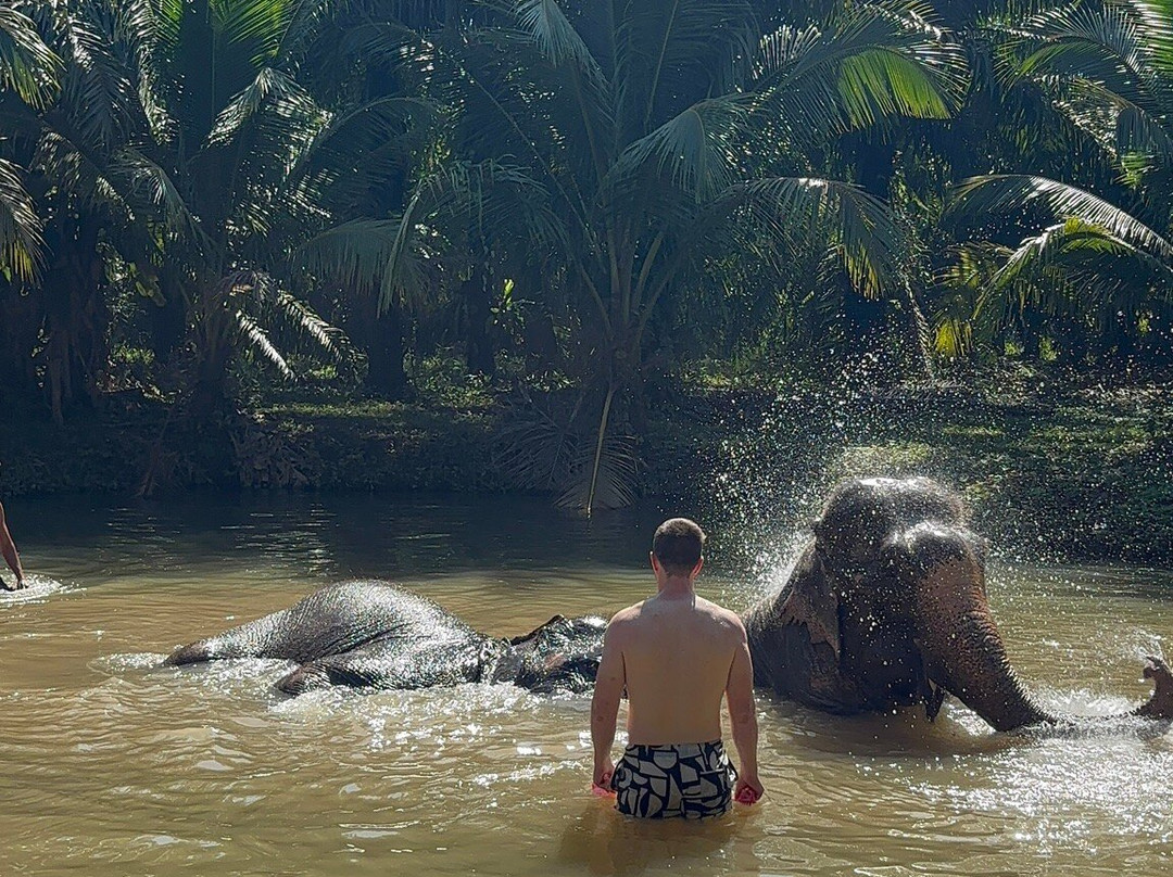 Krabi Elephant Sanctuary-甲米必去景点