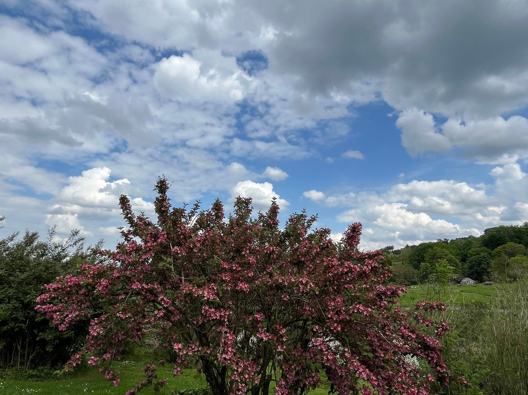 Jardin Botanique Jean-Marie Pelt-Villers-les-Nancy必去景点