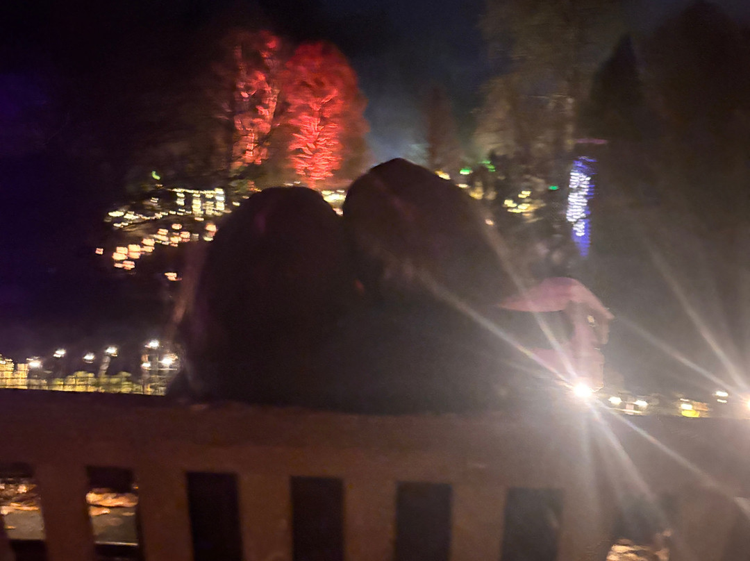 Light Up Trails-罗姆西必去景点