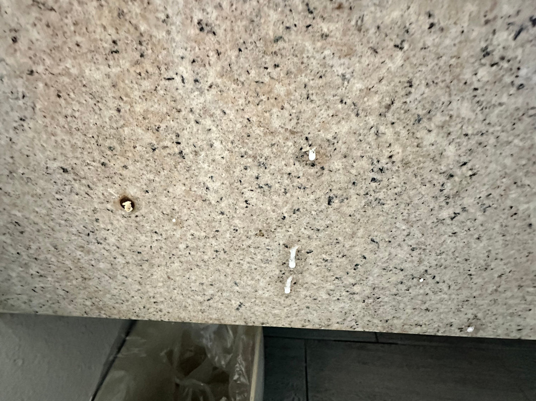 Super 8 by Wyndham Knoxville West/Farragut主图