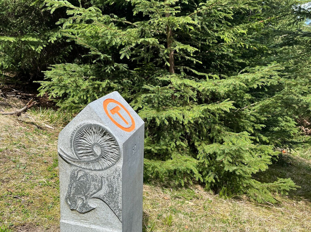 Via Transilvanica-Piatra Fantanele必去景点